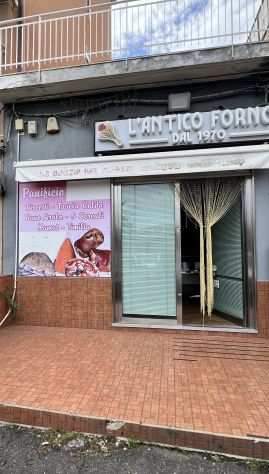 Bottega commerciale Rif. 2652