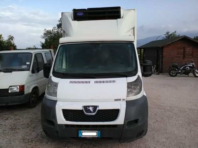 Boxer ducato frigo isotermico