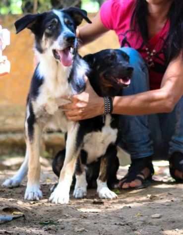 BREZZA, dolcissima cucciolona