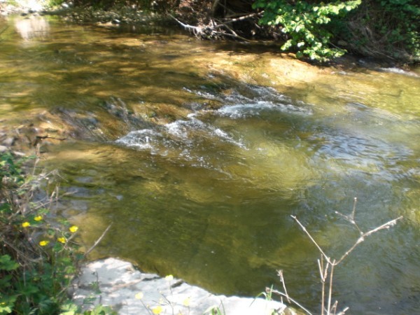 Rustico ex mulino in sassi vic.ze ruscello con terreno 3 ettari