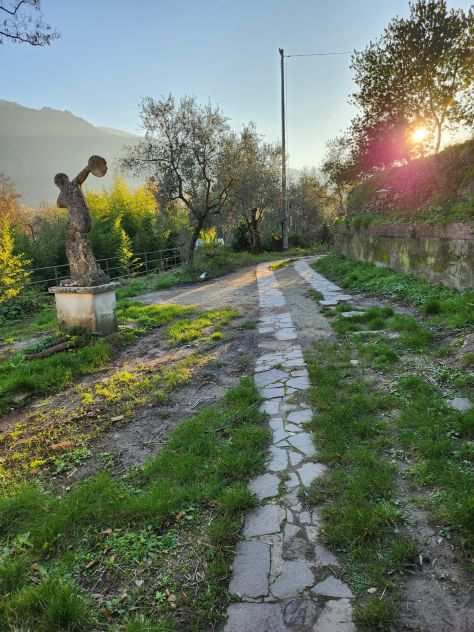 Calci - Villetta singola immersa nel verde