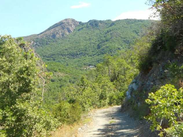 Cambiare vita e vivere nella Natura - Liguria di Levante