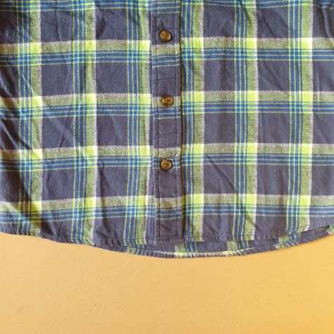 Camicia in cotone invernale Hollister, a quadri blu e verde