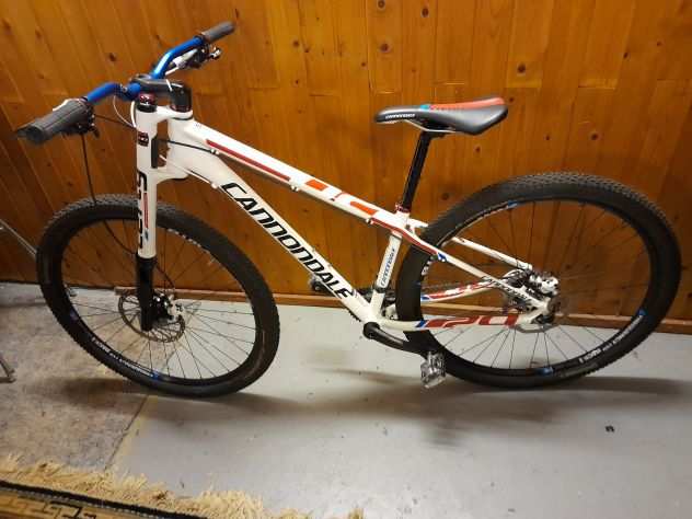 Cannodale Mountan Bike Lefty