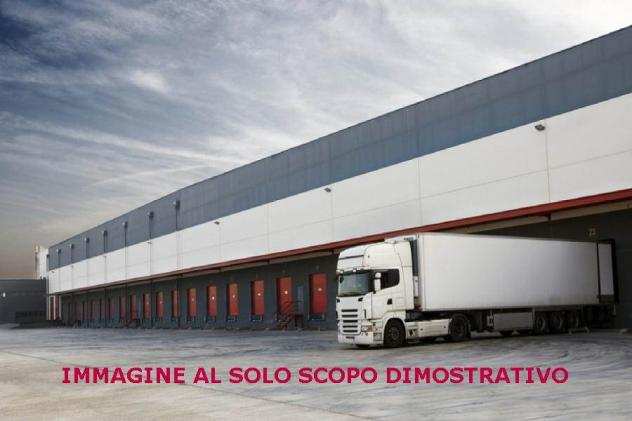 Capannone industriale in Affitto56000 mq
