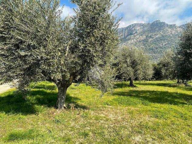 capannone VIA MORELLE, TERRACINA