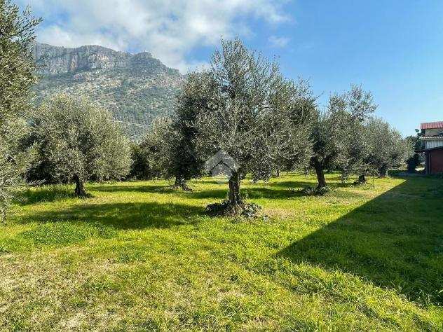 capannone VIA MORELLE, TERRACINA