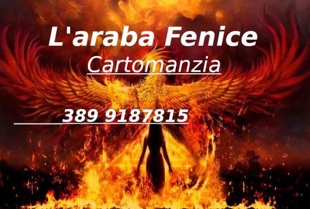 Cartomanzia Araba Fenice