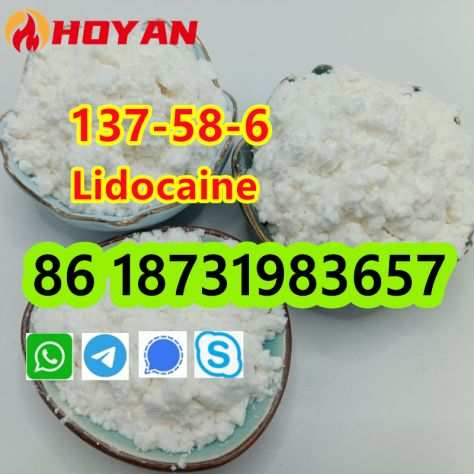 CAS 137-58-6 Lidocaine Supplier Pure 99