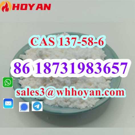 CAS 137-58-6 Lidocaine Supplier Pure 99