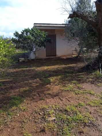 Casa con 1,5 ettari terreno recintato