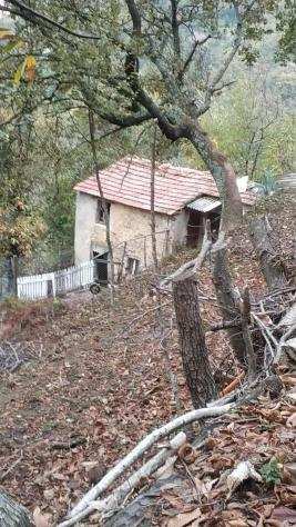Casa singola in vendita a Altagnana - Massa 50 mq Rif 1018972