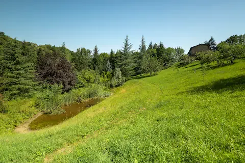Casa vacanze nel bosco con piscina offerte estate 2024