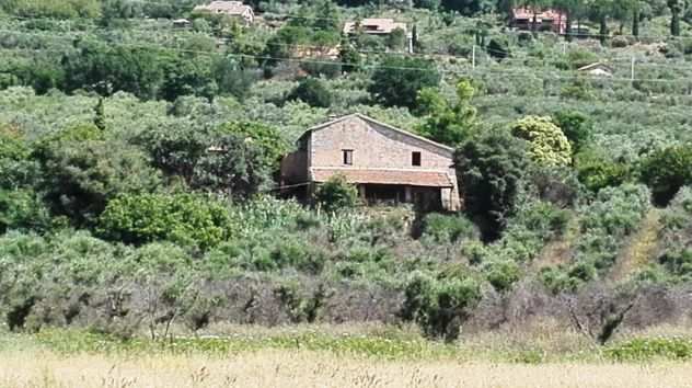 Casale di grande superficie con magnifico uliveto di 10 ettari a Cesi (Umbria)