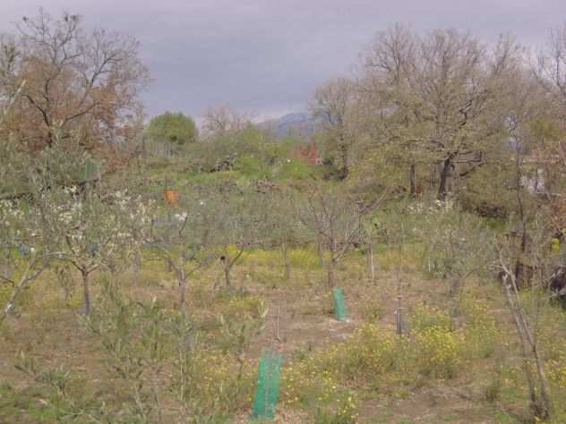 CASETTA UNITA COLLABENTE CON TERRENO 2.144 MQ A BELPASSO- CDA SEGRETA