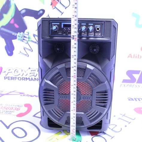 Cassa Karaoke 5000watt 8 pollici Bt radio usb sd aux eco eq microfono - spediz.