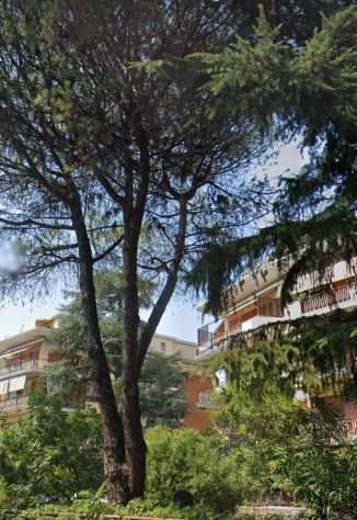 Cassia in splendido residence ad staz Giustiniana scuole internazionali ospedali
