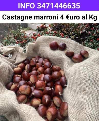 Castagne biologiche marroni 4 euro al kg