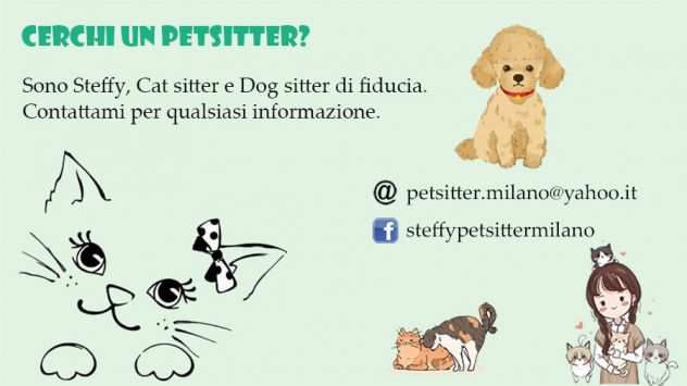 Cat sitter