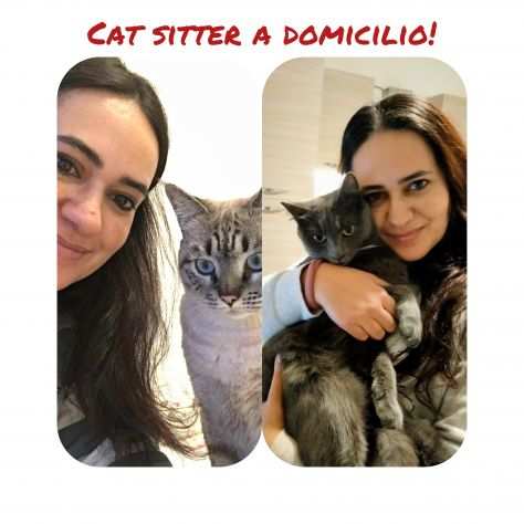 Cat sitter a domicilio