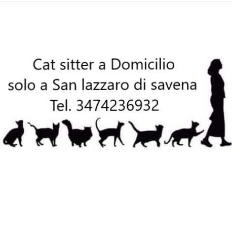 CAT SITTER AL TUO DOMICILIO SOLO SAN LAZZARO DI SAVENA CENTRO