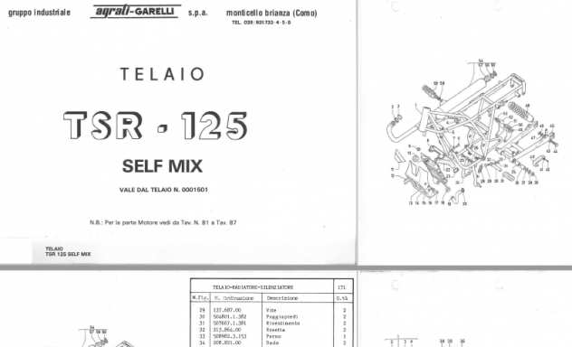 Catalogo ricambi Telaio Garelli TSR 125 cc 5v self mix GR