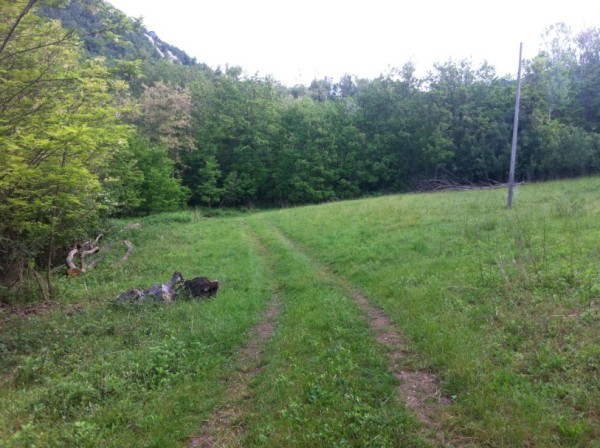Rustico ex mulino in sassi vic.ze ruscello con terreno 3 ettari