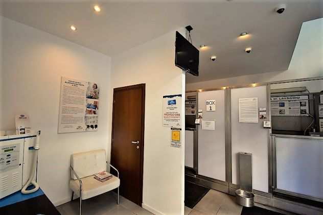 CEDESI ATTIVITA DI WASH DOG