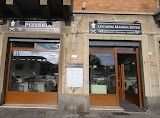 Cedo attivitagrave ristorazione e pizzeria