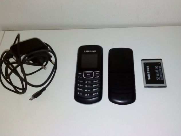 Cellulare Samsung GT-E1080i