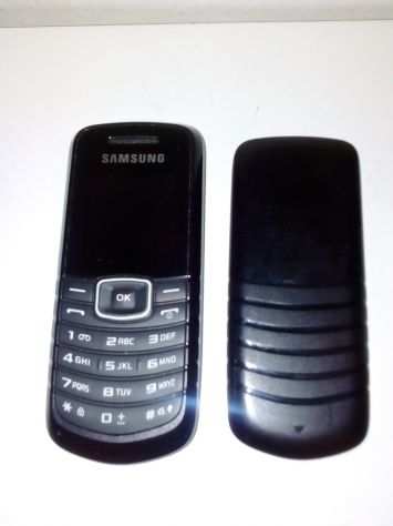 Cellulare Samsung GT-E1080i