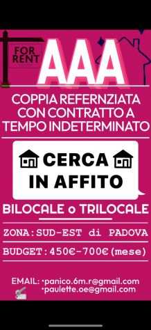 Cercasi in Affitto Bilocale-Trilocale Zona SUD-EST di Padova  700 