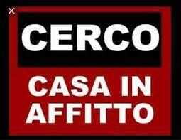 Cerco bilocale in affitto  500 