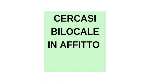 Cerco Bilocale in Affitto a Torino - Lavoratore a Tempo Pieno  550 