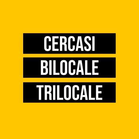Cerco bilocaletrilocale Milano 1.200 