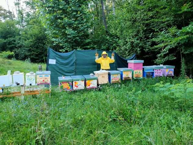 cerco terreno provincia di Milano per apicoltura