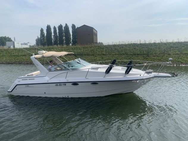 Chaparral 31 Signature