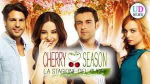 Cherry season 1 e 2 stagione  Love of my Life in dvd