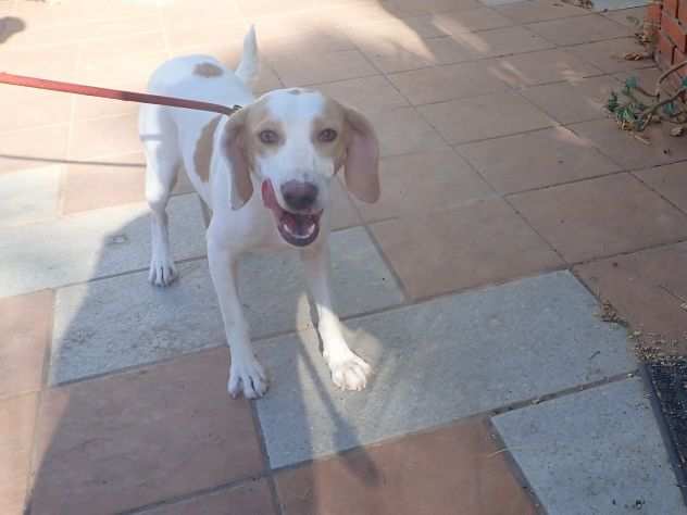 CHICCA giovane bella e buona - Calabria