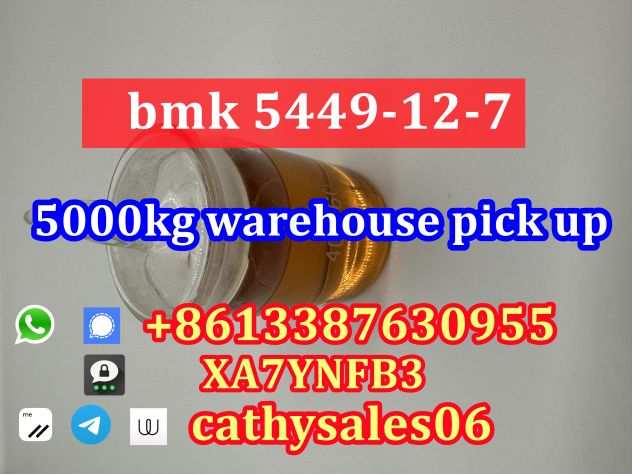 China Supplier 5449127 new bmk glycidate pmk powder hot sales in Holland and UK
