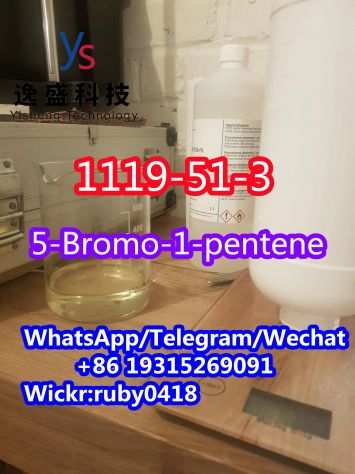 Chinese supplier 5-Bromo-1-pentene CAS 1119-51-3 1-bromo-4-pentene