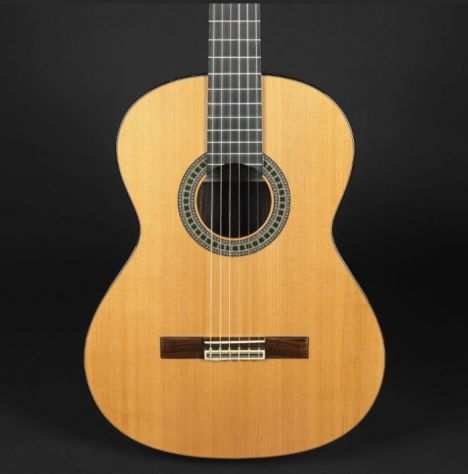 Chitarra classica Paco Castillo 204