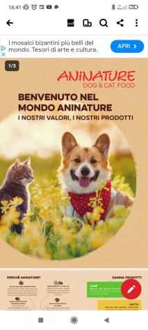 Cibo sano e naturale per cani e gatti direttamente a casa tua