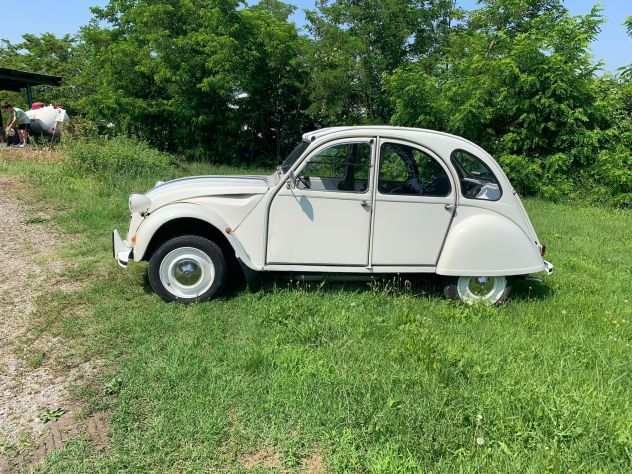 Citroen 2 CV special