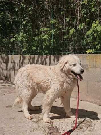 CLOE 5anni di dolcezza leggermente timida