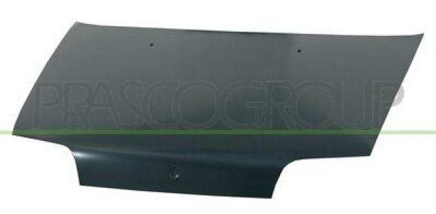 COFANO FT1323100 Metallo FIAT - PUNTO - Mod. 0193 - 0599