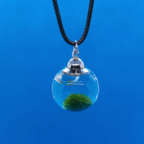 Collana con mini MARIMO Alga Palla viva Gioiello artigianale Pianta Giapponese