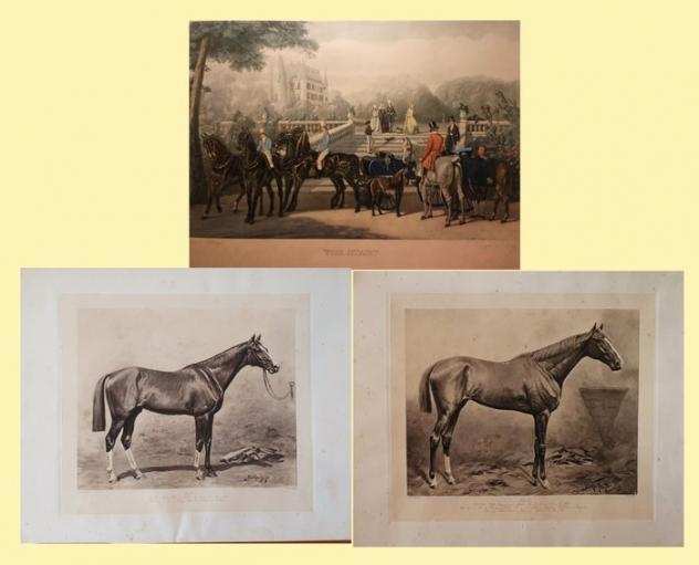 Collezione a tema - Litografie di cavalli e scene equestri - Sec. XIXdeg - Inghilterra e Germania