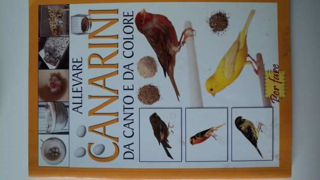 Come Allevare i canarini da canto e da colore