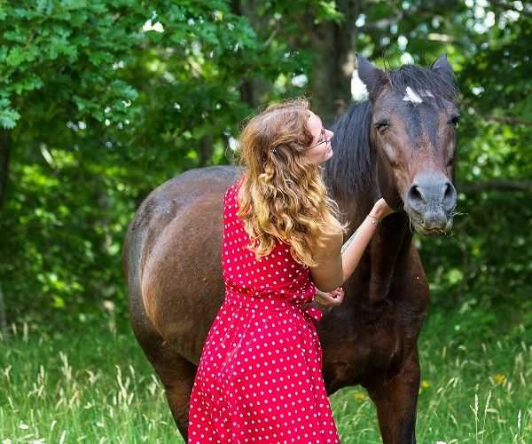 Corso Avanzato di Animal Communication